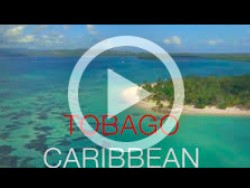 Tobago Caribbean Windsurf Kitesurf Spot Video